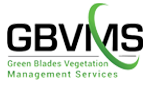 GBVMS
