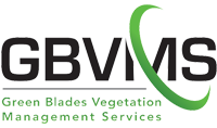 GBVMS