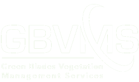 GBVMS